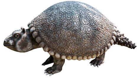 facts about the glyptodon.